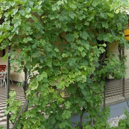 Ferienhaus Ibolyahaz *